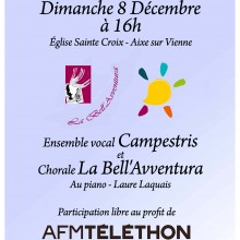 AIXE sur VIENNE