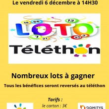 LIMOGES Domitys